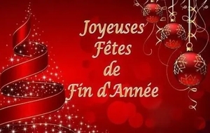 BONNES FÊTES 🎄🎁🎊